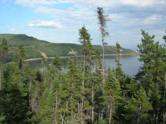 tadoussac 056.jpg